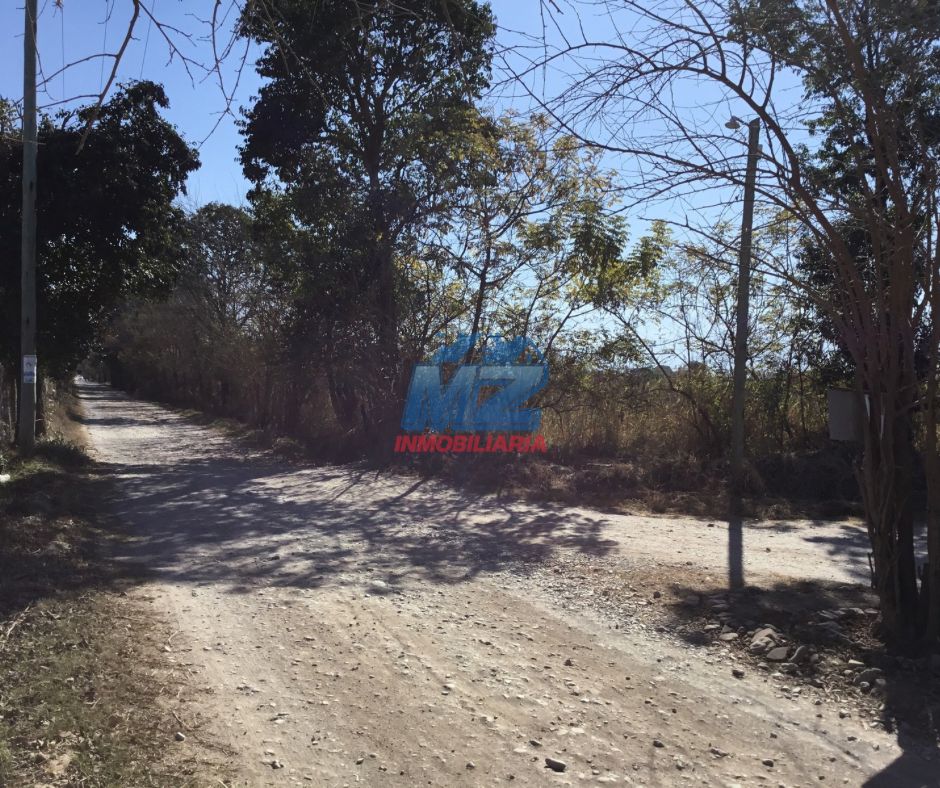 ZONA SUR
