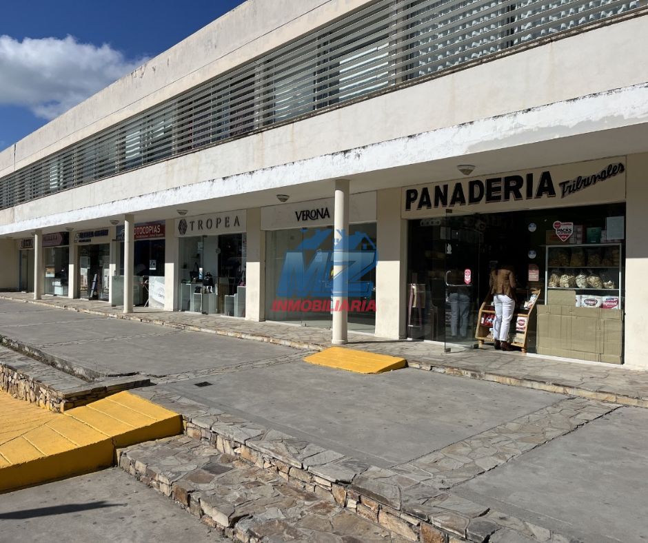 ZONA CENTRO